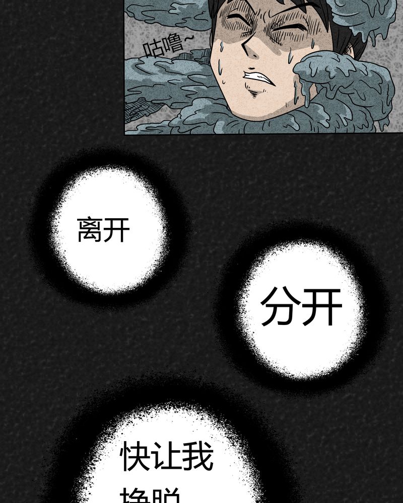 第2章：神奇的药丸14