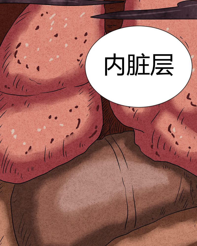 第19章：格子84