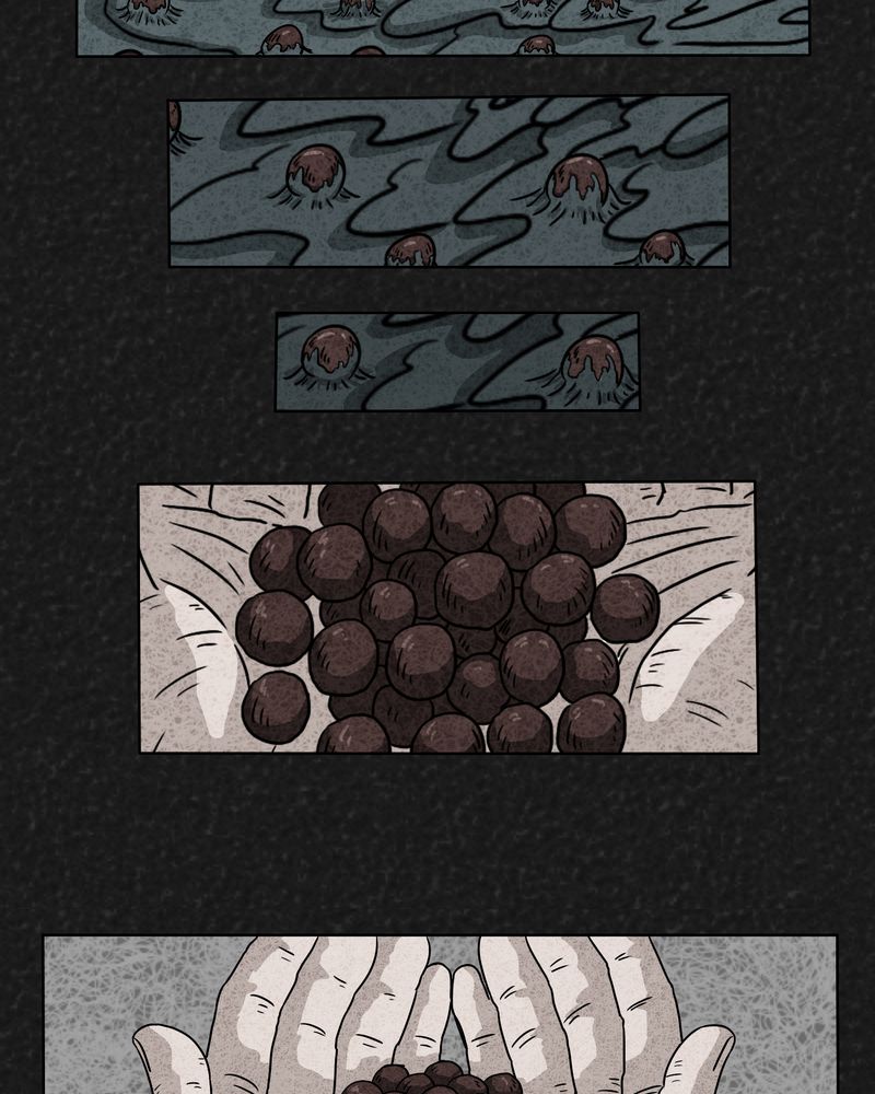 第2章：神奇的药丸22