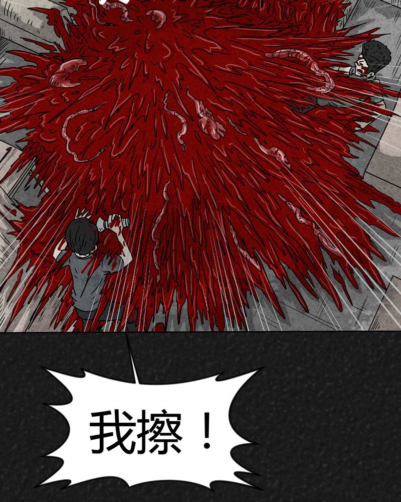 第17章：寻光上24