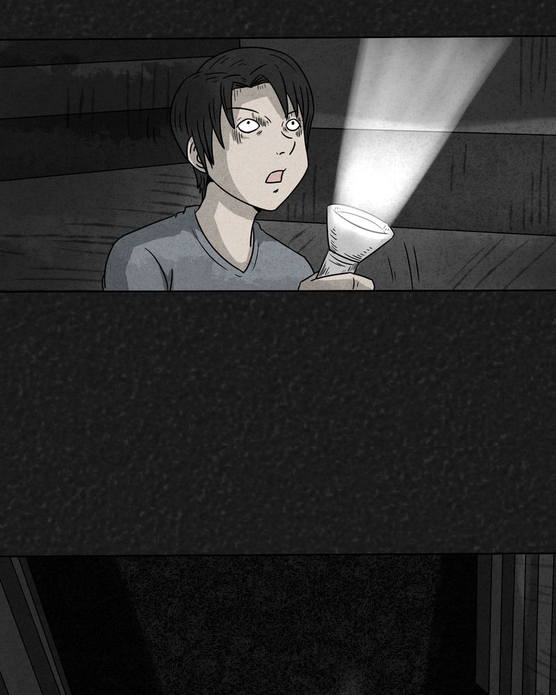 第17章：寻光上12