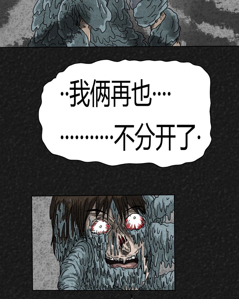 第2章：神奇的药丸11