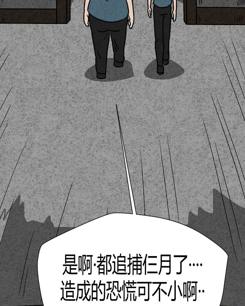 第43章：圆柱体559