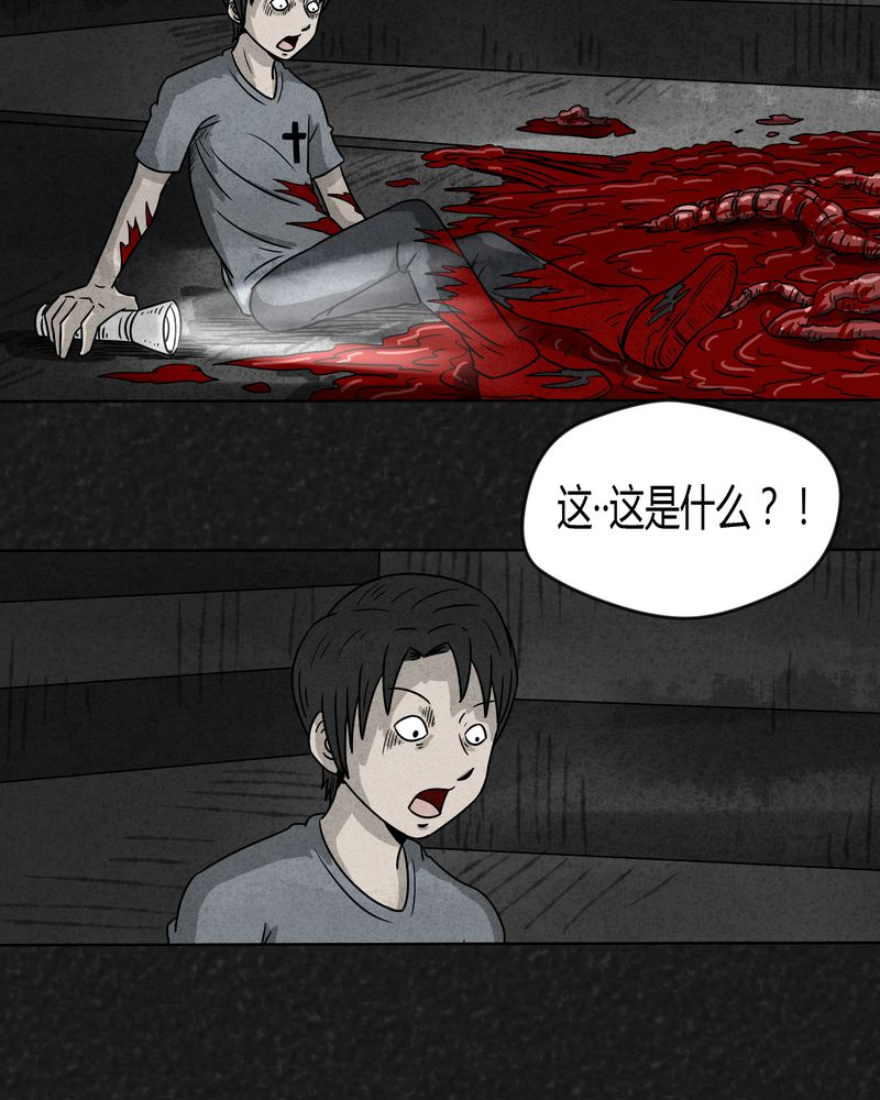 第17章：寻光上11