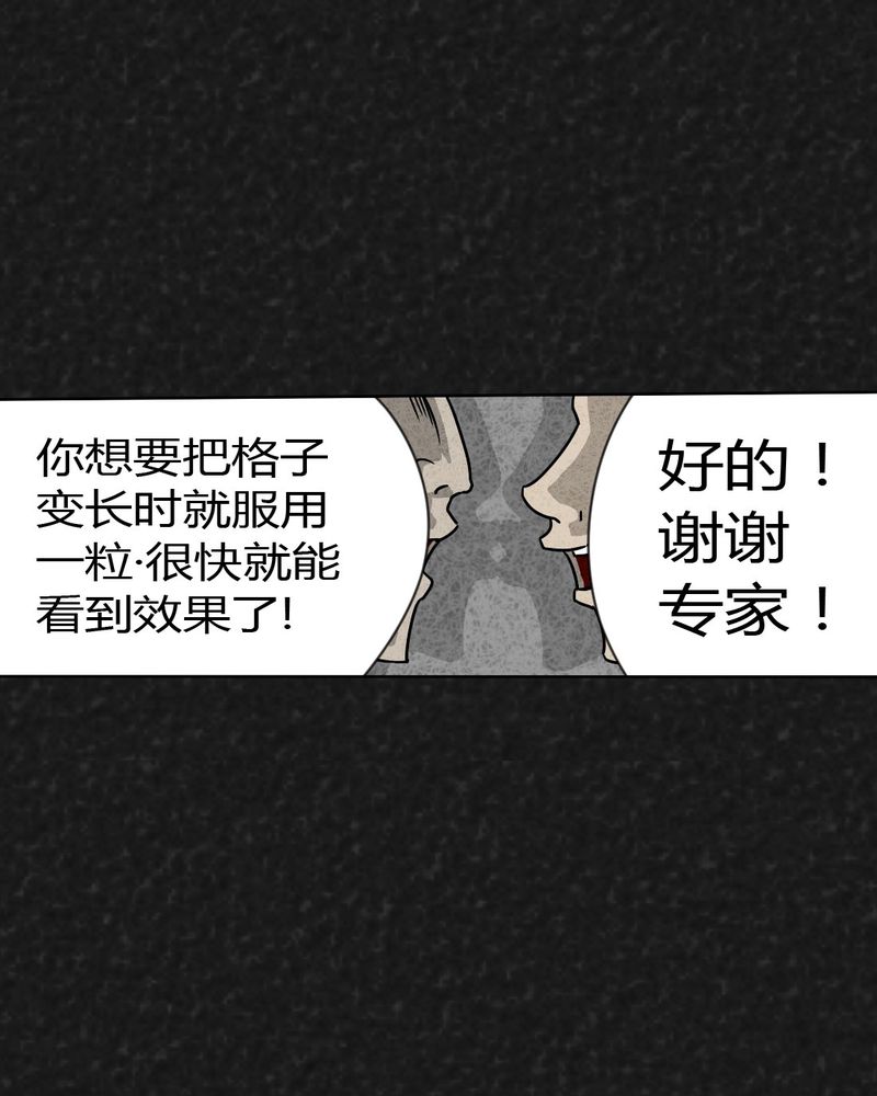 第19章：格子8