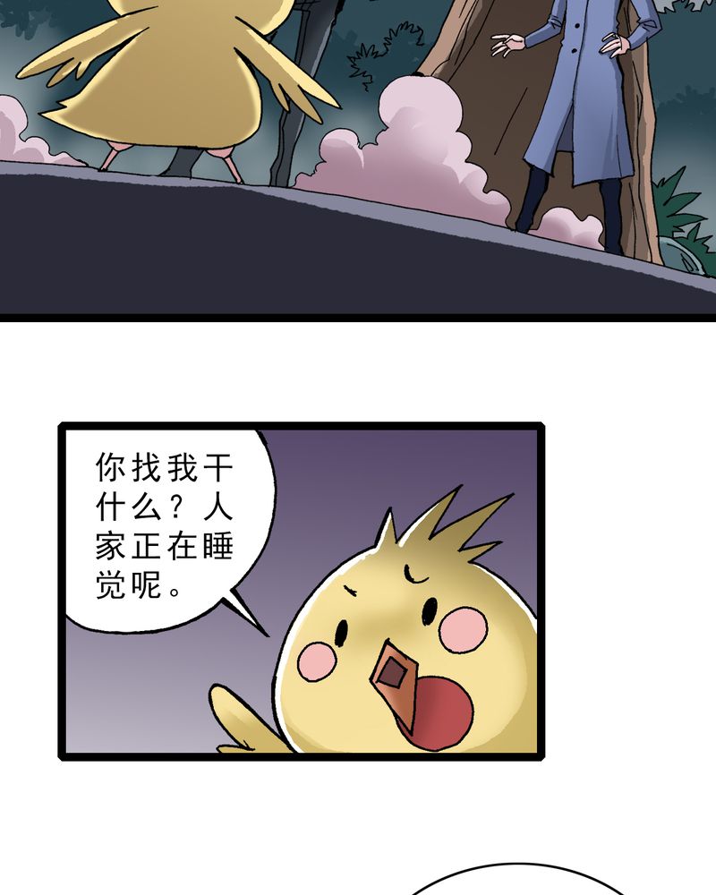 第19章：开始追击2