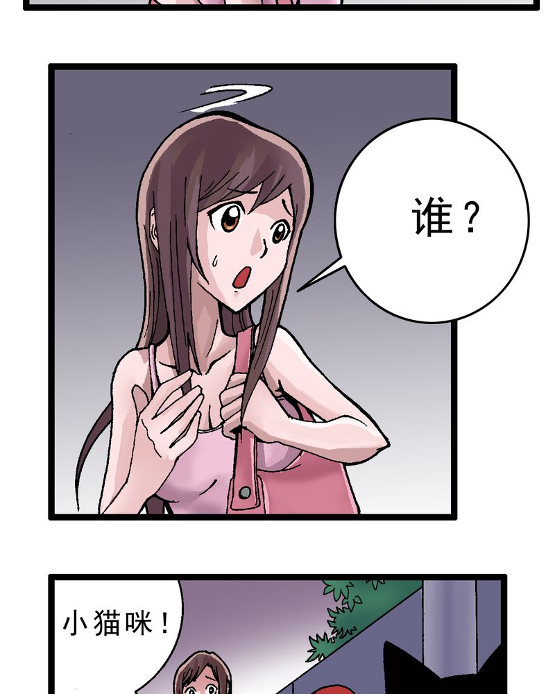 第2章：黑衣人11