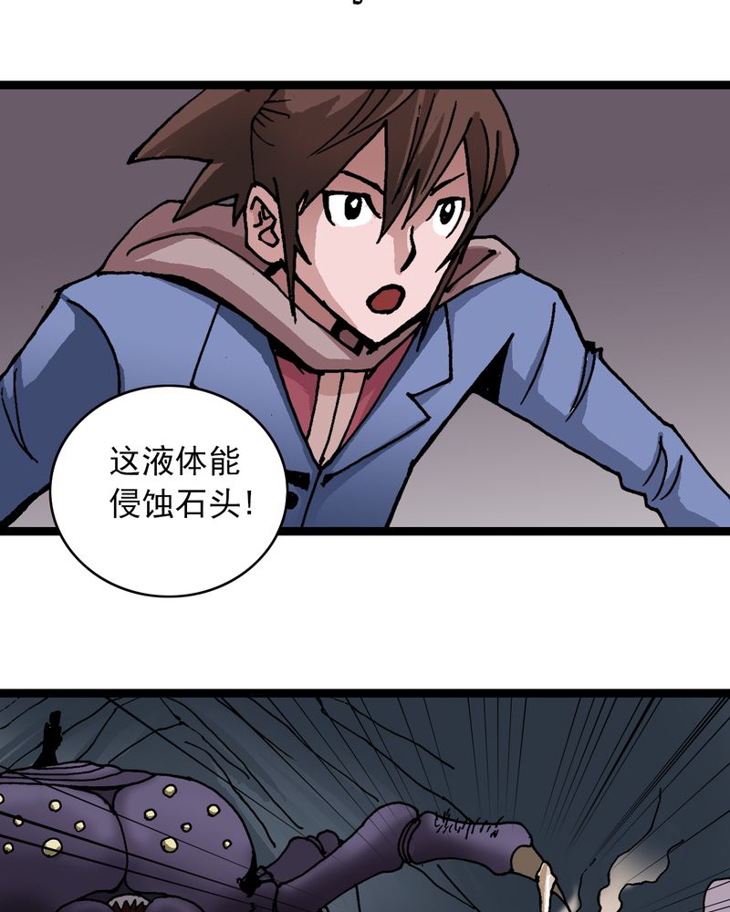 第25章：蜘蛛与蛤蟆31