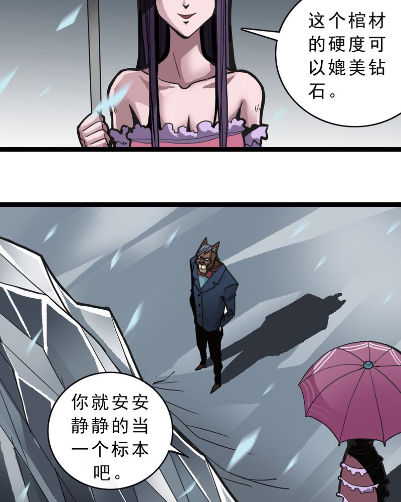 第39章：树妖15