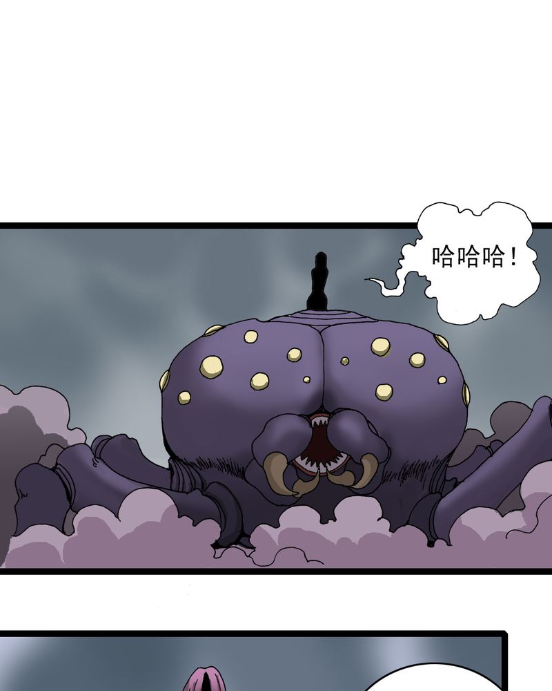 第25章：蜘蛛与蛤蟆27