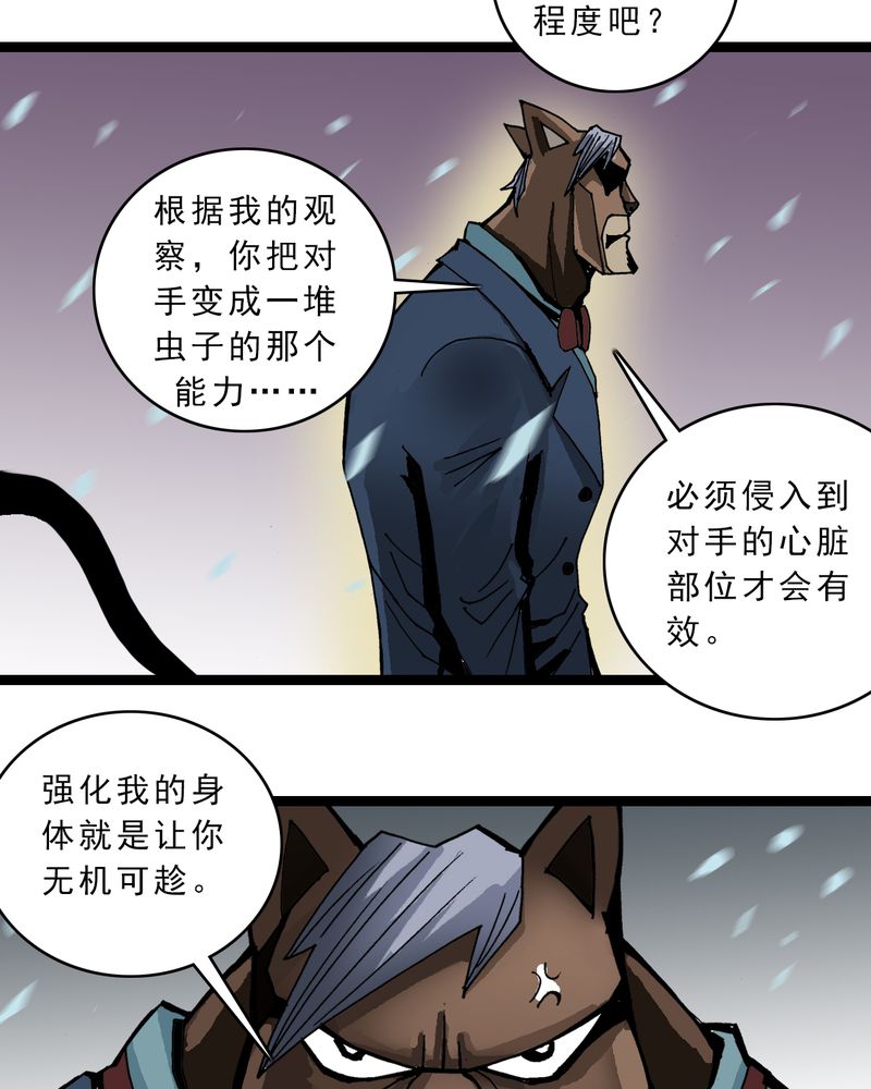 第45章：真实的能力6