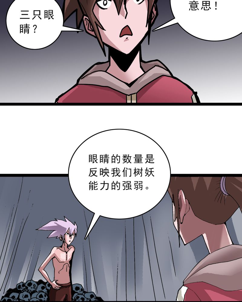 第48章：三只眼睛和镜子14