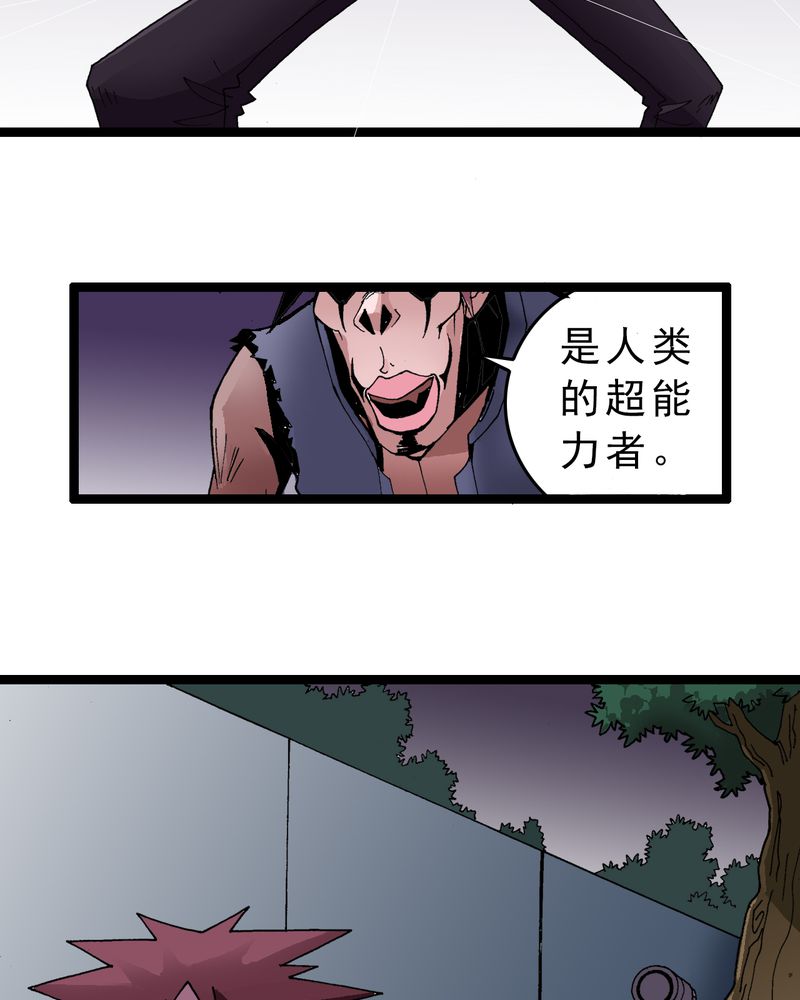 第4章：陷阱11