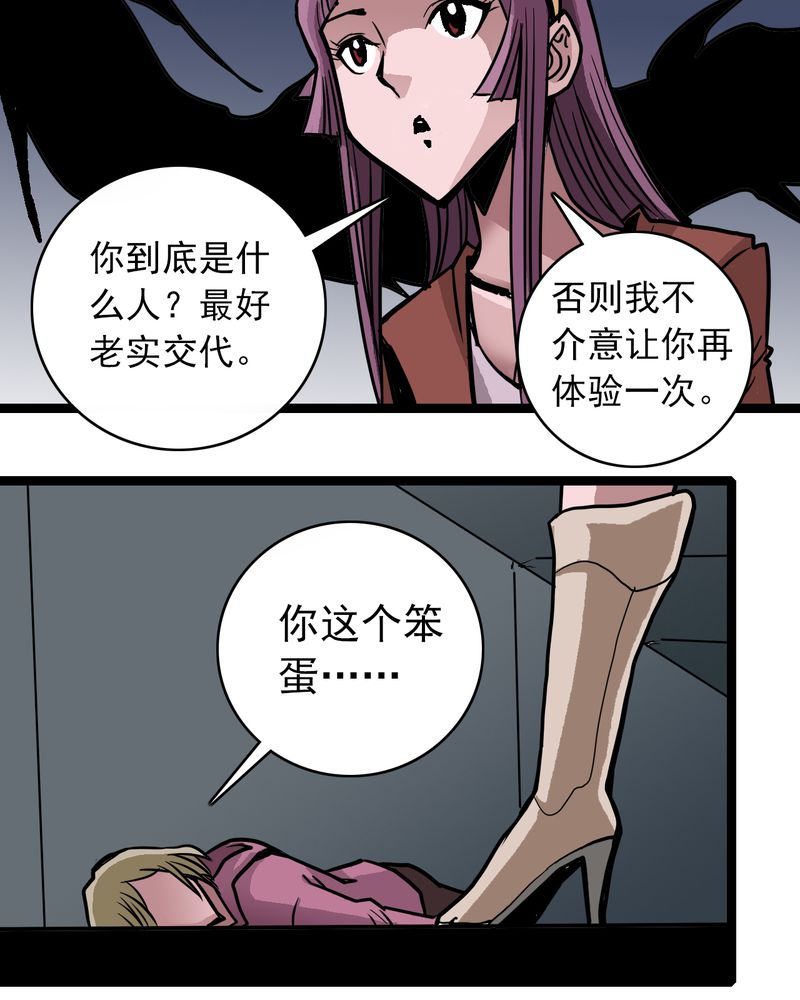 第53章：神秘人物20