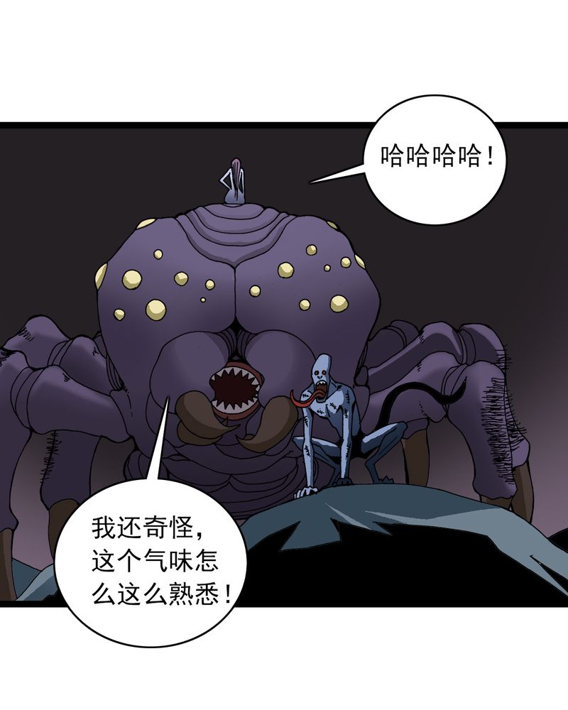 第25章：蜘蛛与蛤蟆4