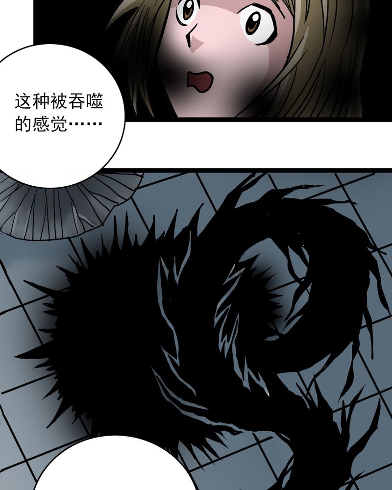 第53章：神秘人物12