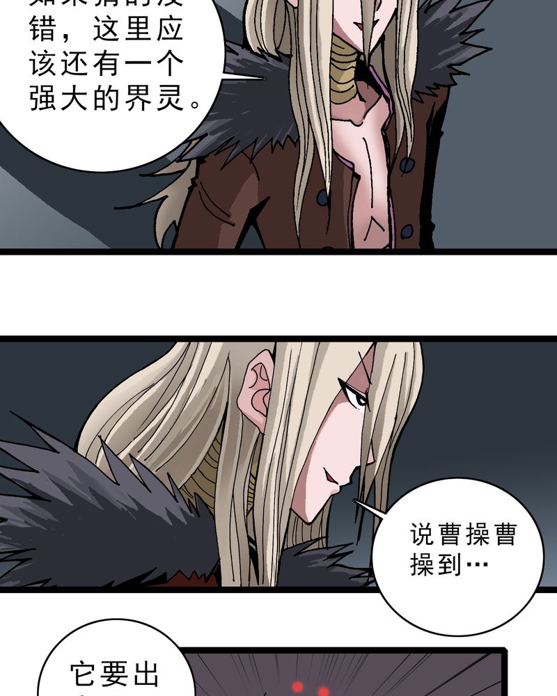 第21章：界灵玄武29