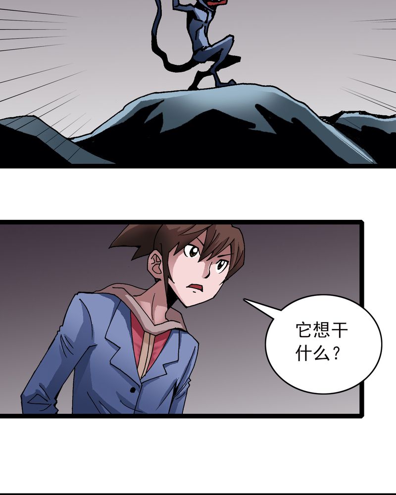 第25章：蜘蛛与蛤蟆9