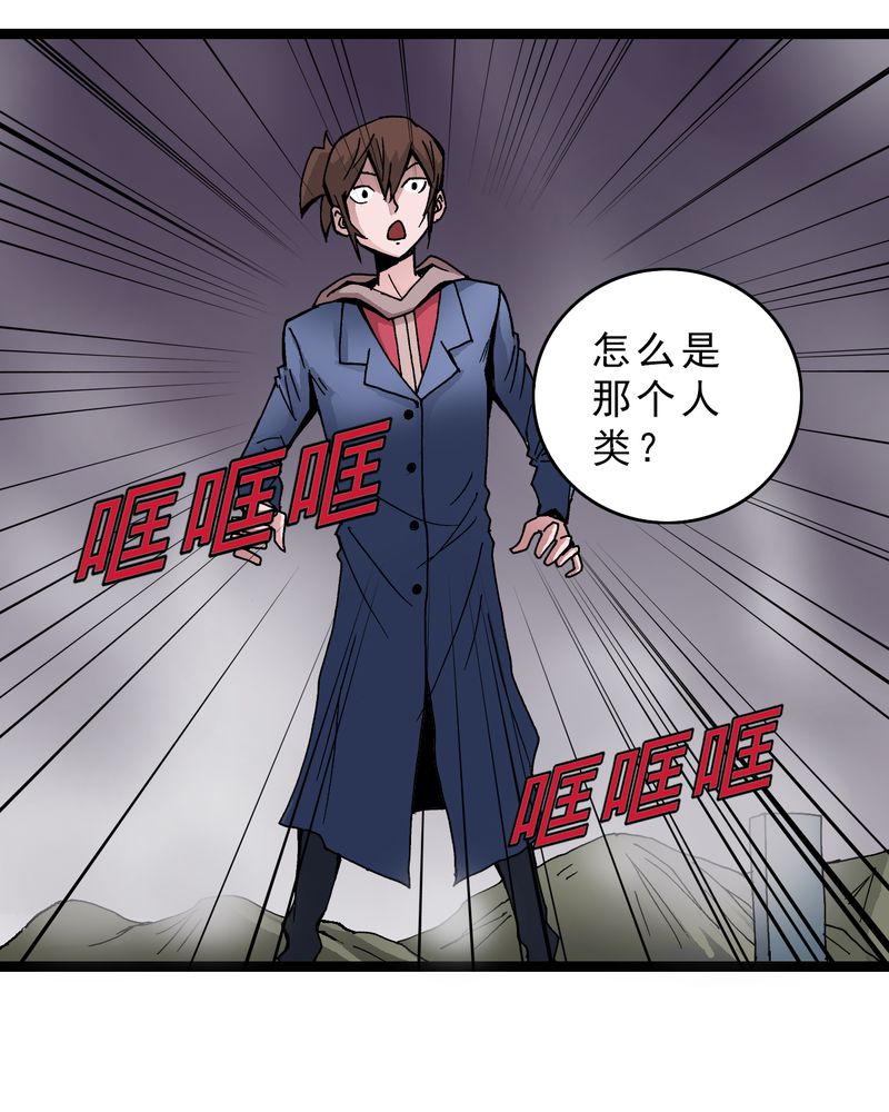第15章：多重悬念19