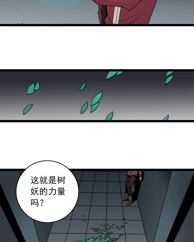 第38章：墓室的秘密9
