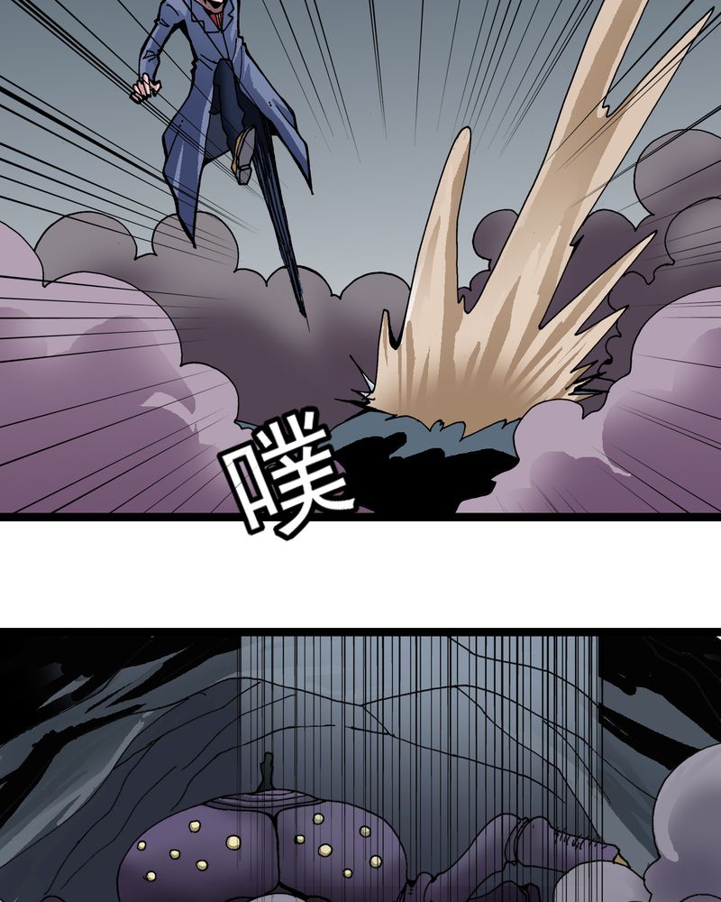 第25章：蜘蛛与蛤蟆29