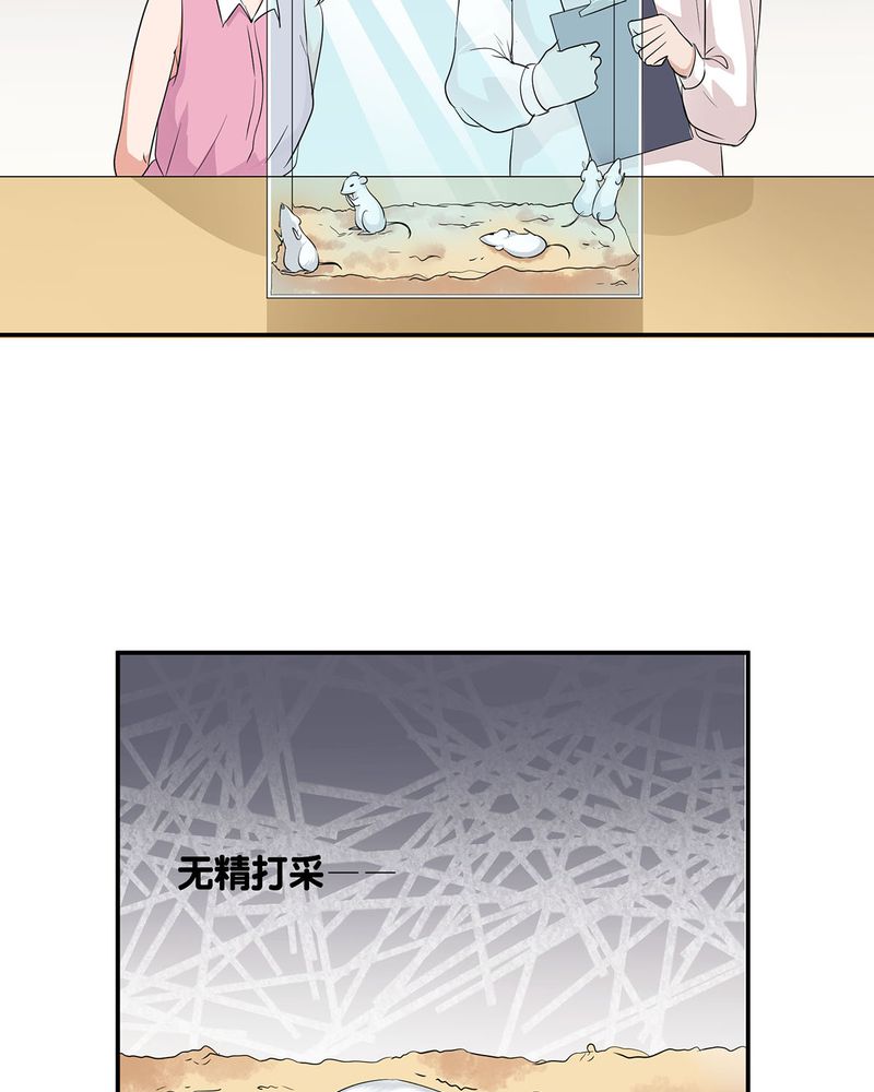 第12章：宁宇急推产品24