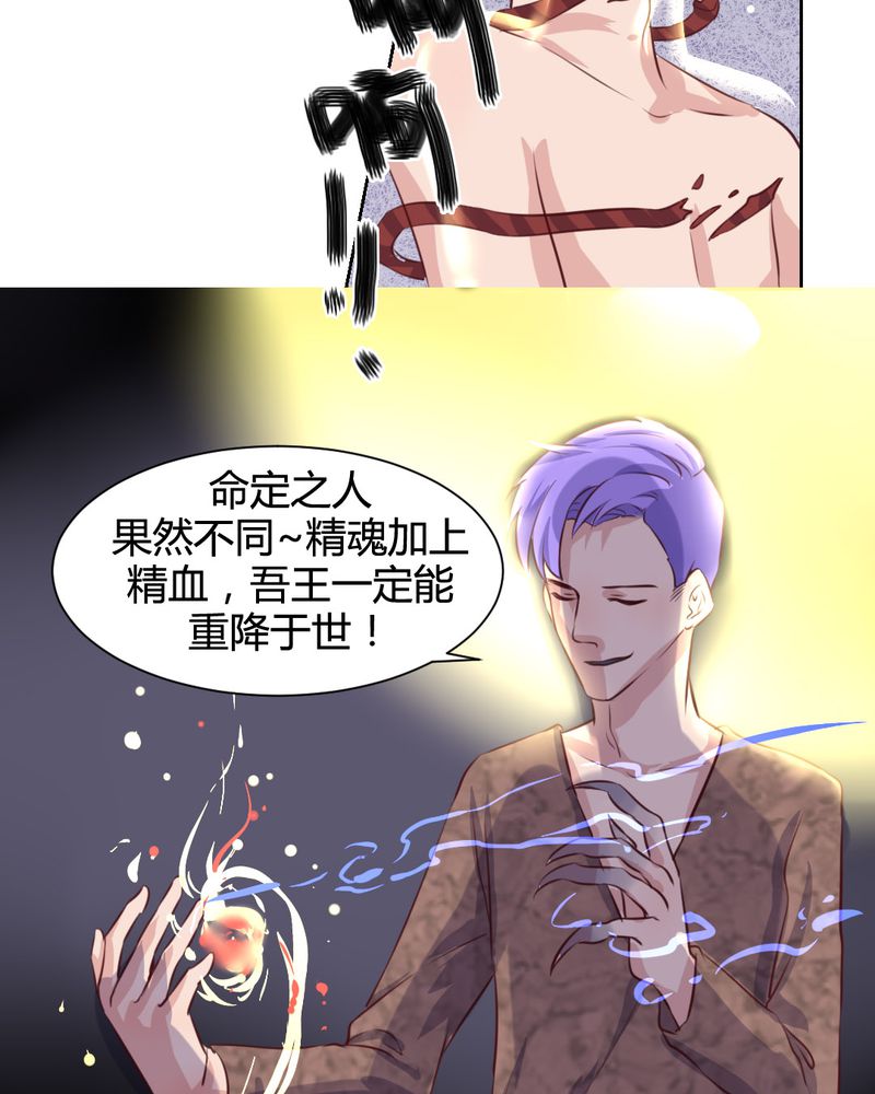 第51章：另一半的命格3