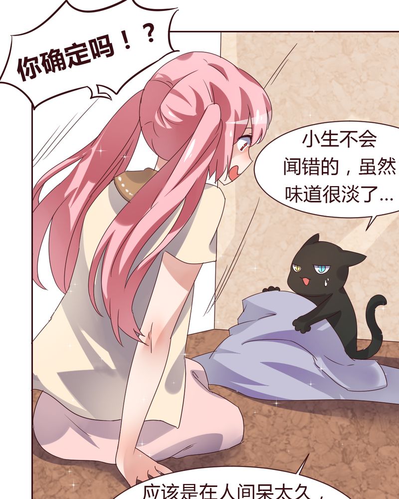 第37章：少妖主的新用法15