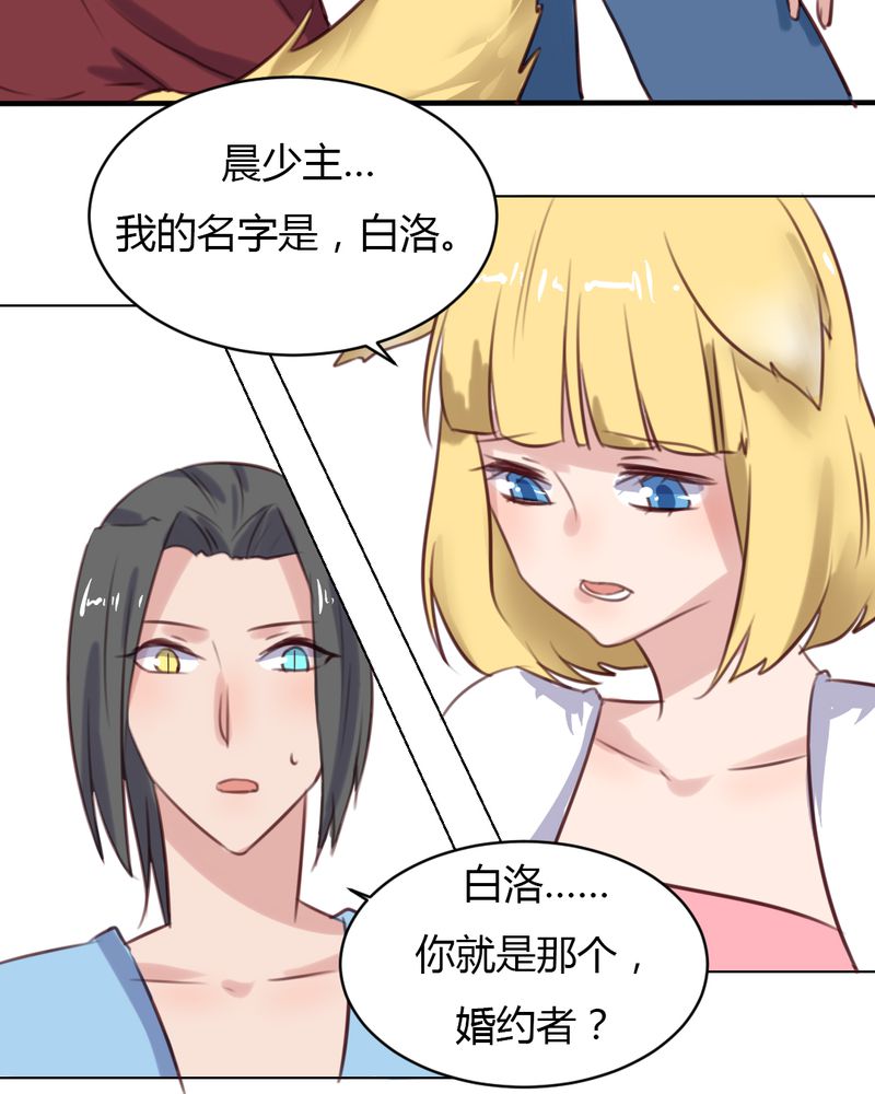 第64章：最终的告白5