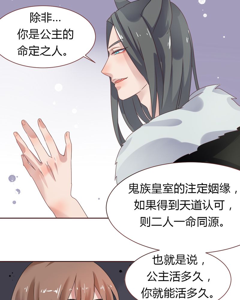 第36章：阴谋的首次曝光！4