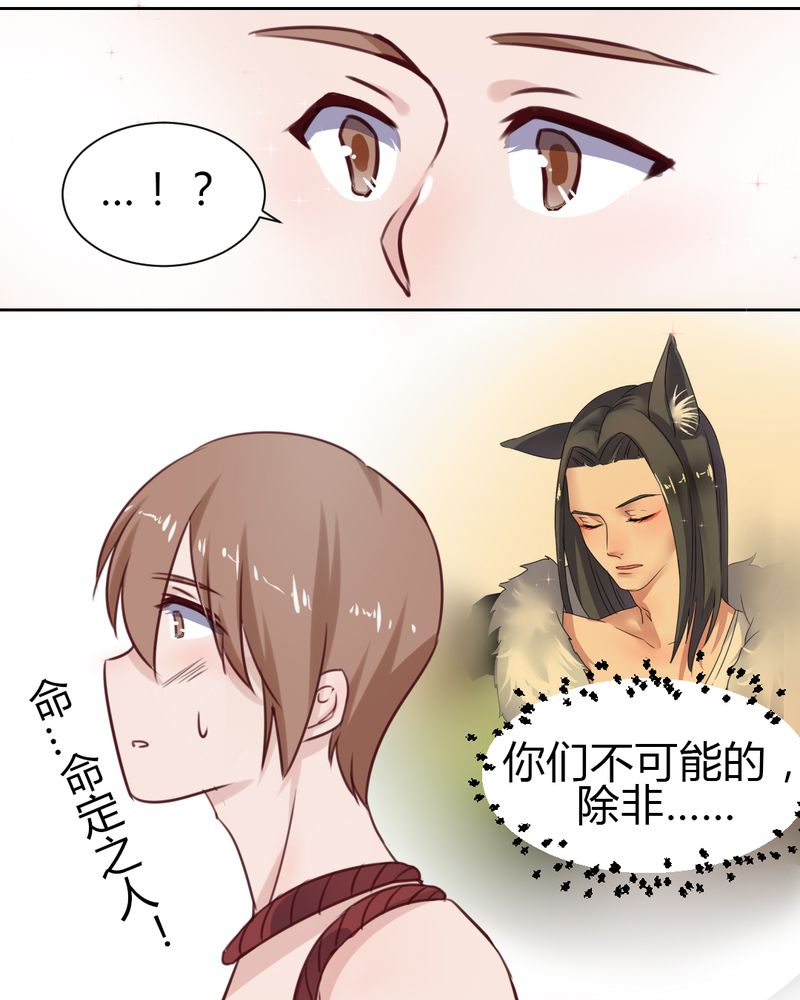 第44章：请君入瓮13