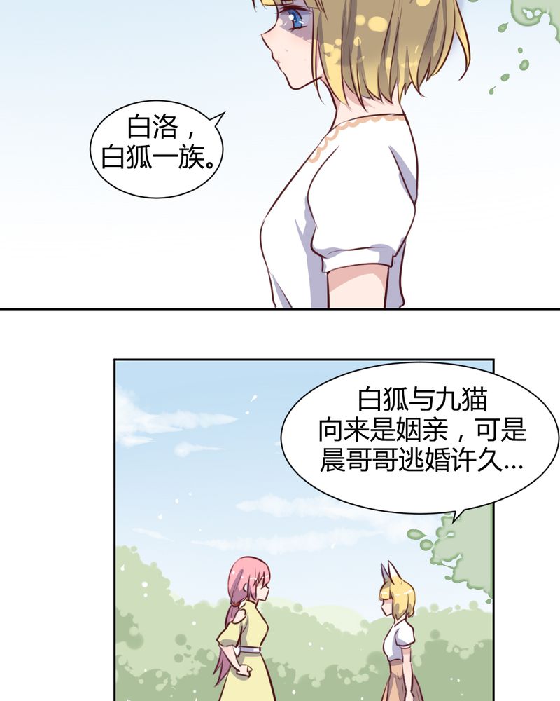 第58章：可爱的白狐婚约者7