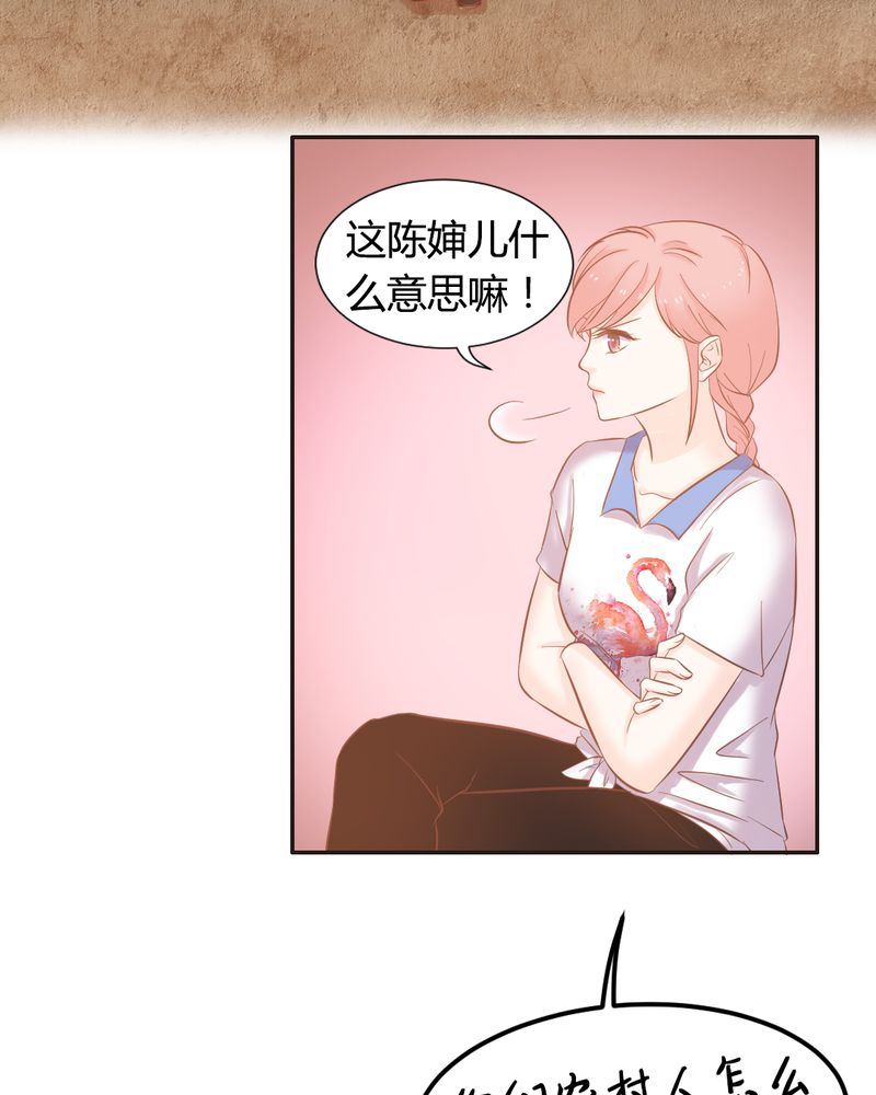 第13章：远房亲戚的老母鸡22