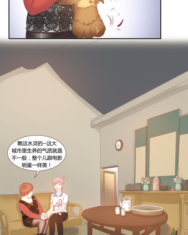 第13章：远房亲戚的老母鸡13