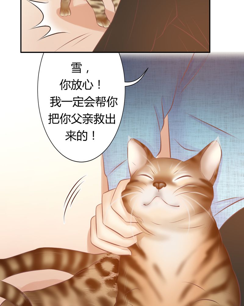 第17章：王科表心意18