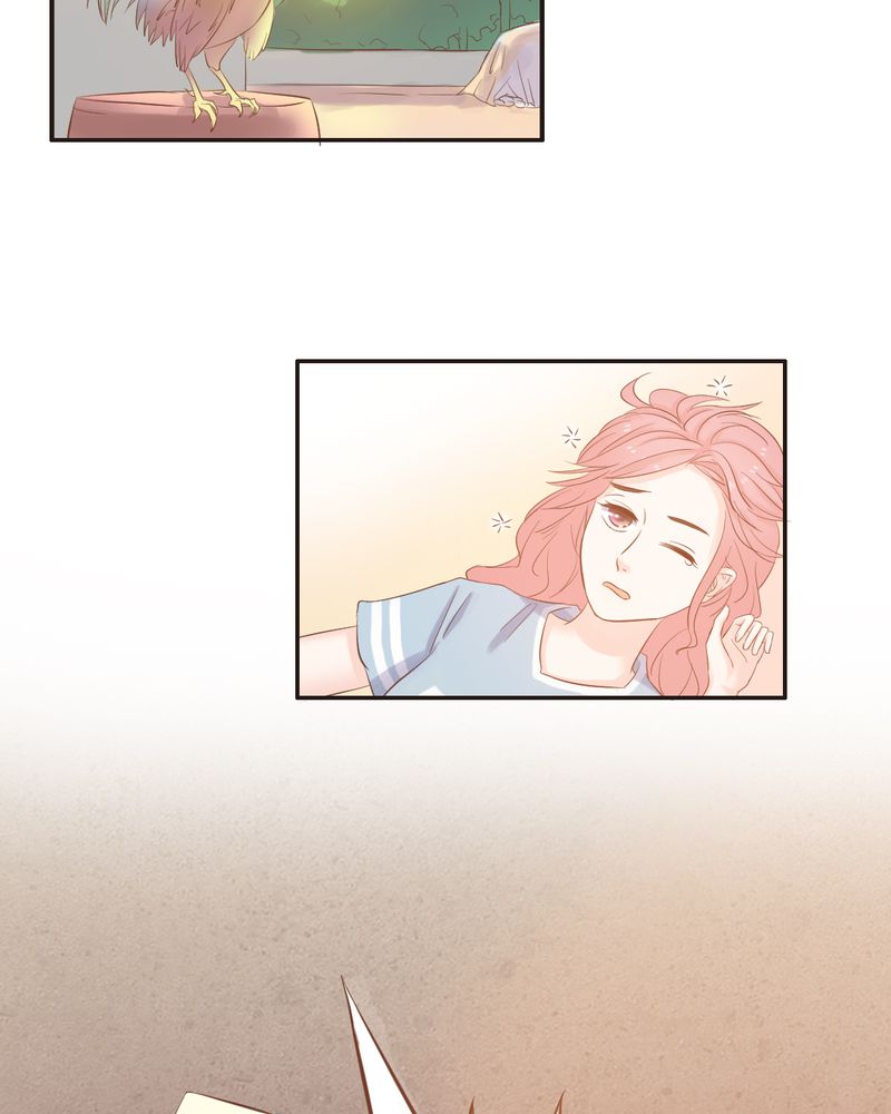 第12章：“白富美”的乡村生活开启？31