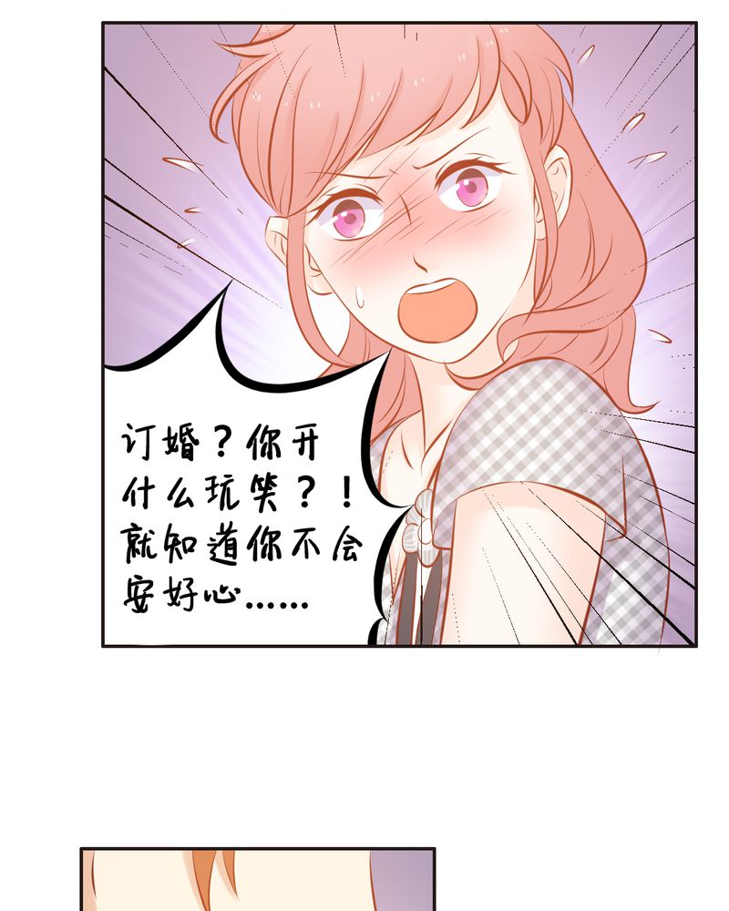 第18章：订婚？21