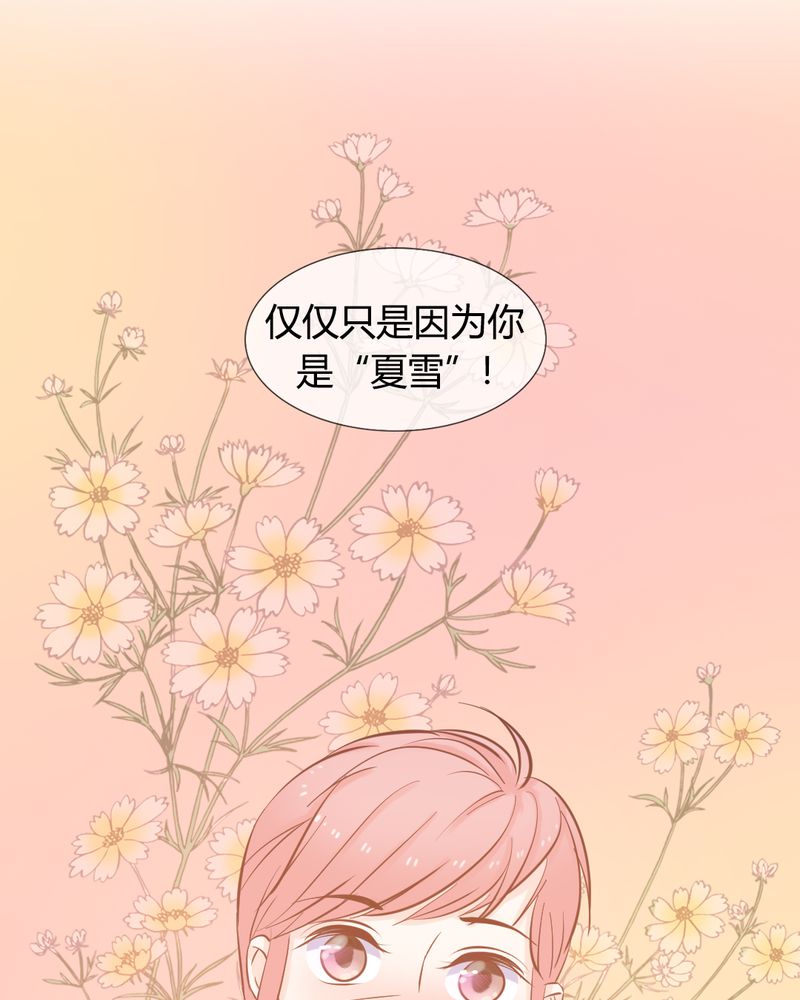 第13章：远房亲戚的老母鸡29