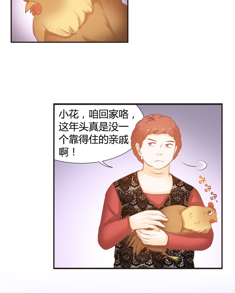 第13章：远房亲戚的老母鸡20