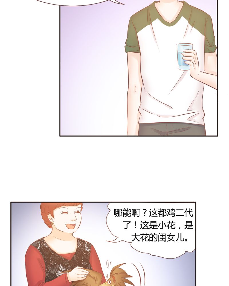 第13章：远房亲戚的老母鸡12