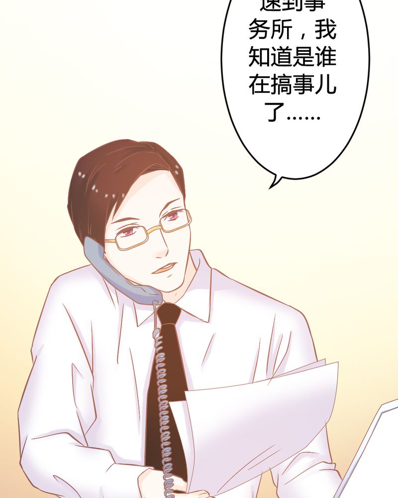 第22章：迟到的正义29