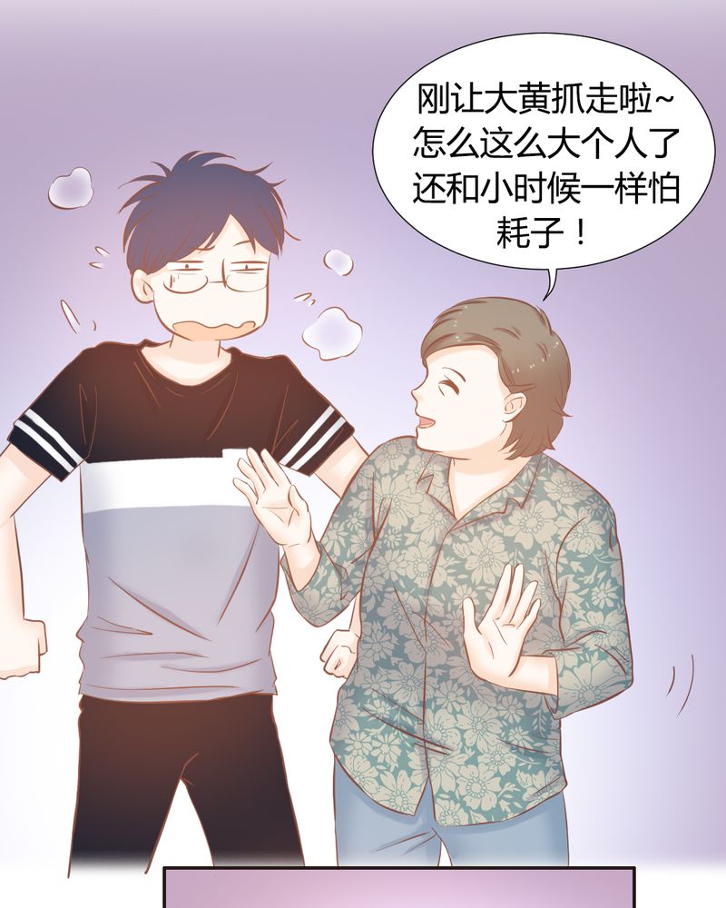 第14章：好一个如意算盘5
