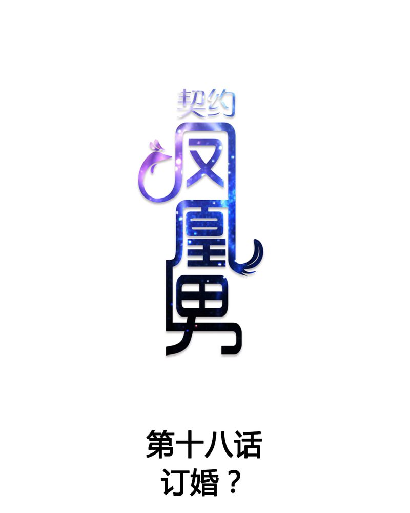 第18章：订婚？0
