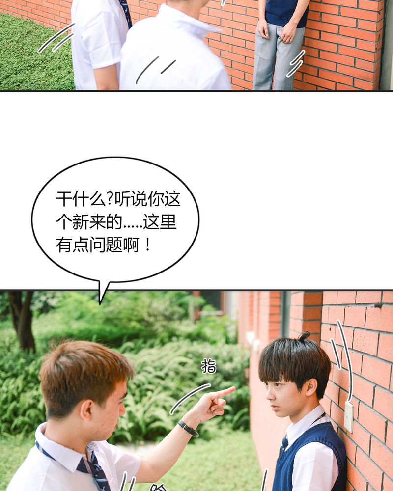 第19章：暴力有毒14