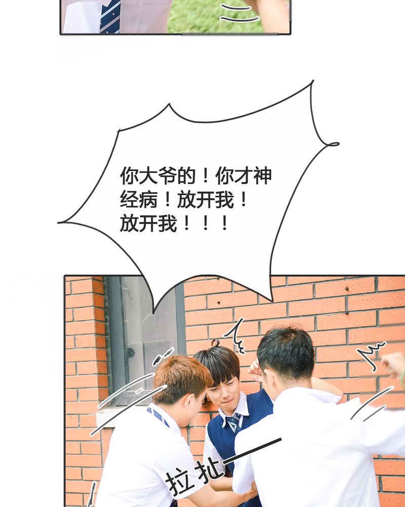 第19章：暴力有毒18