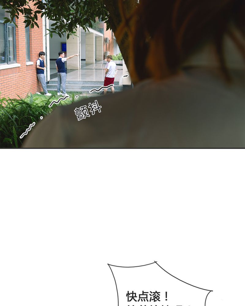 第19章：暴力有毒33