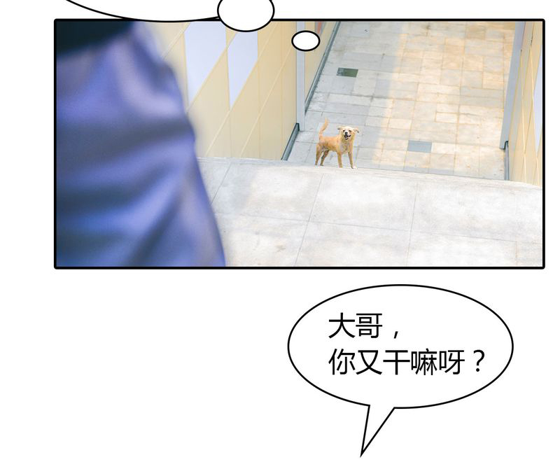 第4章：逃学有毒43