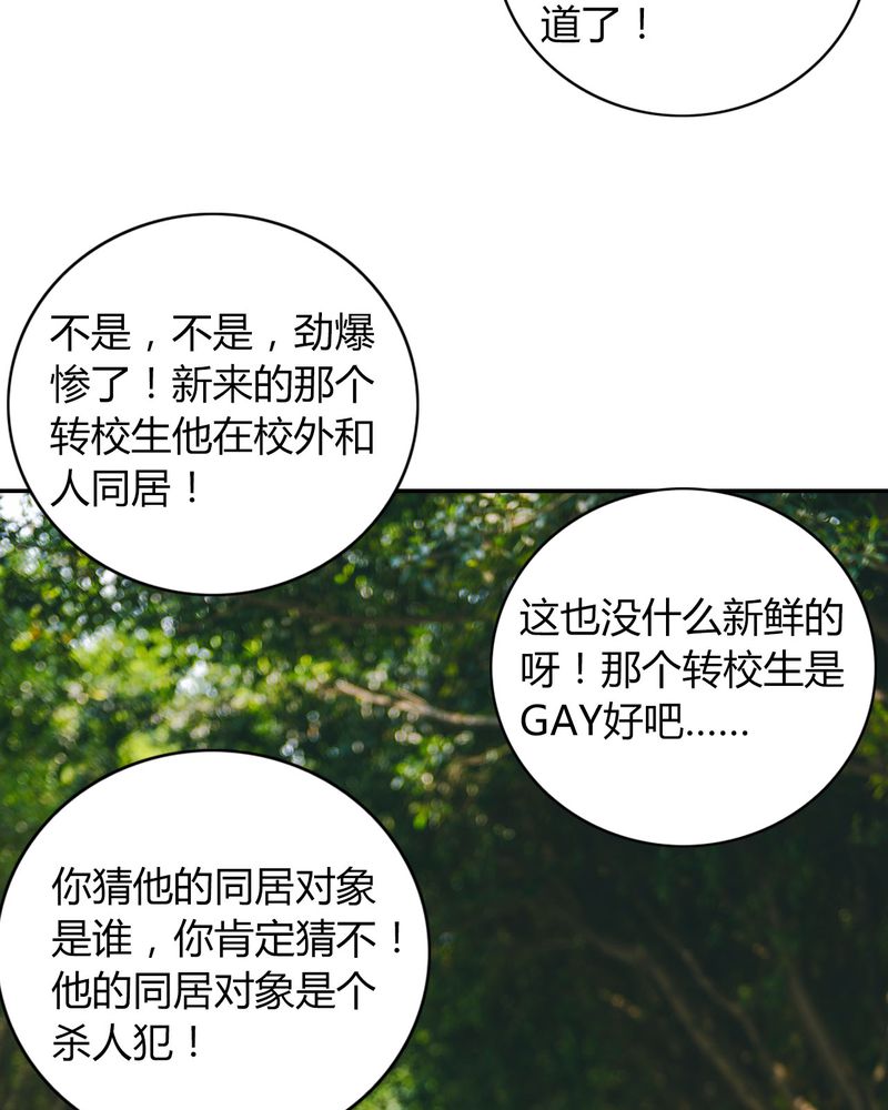 第36章：谣言有毒21