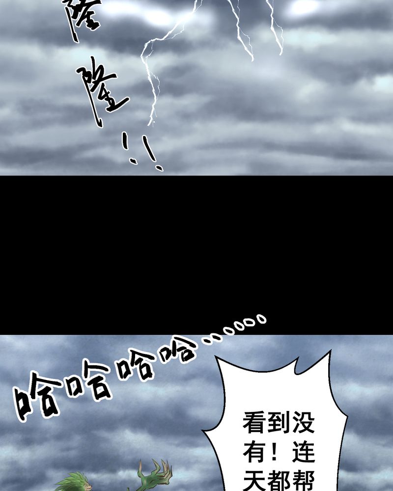 第48章：雷公花-前世（下）47