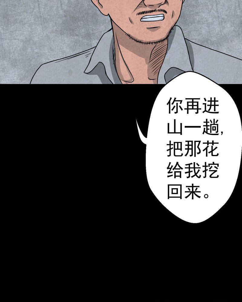 第46章：雷公花-今生（下）17